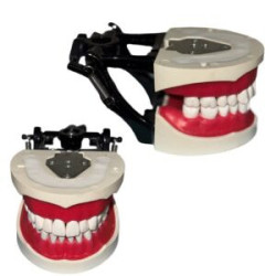 Banna Cast Black Metal Articulator MH-02