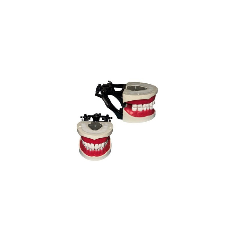 Banna Cast Black Metal Articulator MH-02