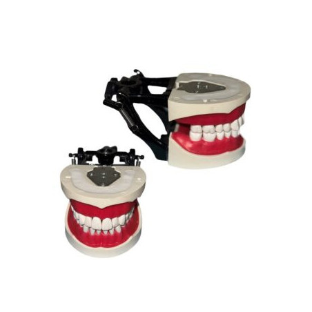 Banna Cast Black Metal Articulator MH-02