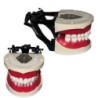 Banna Cast Black Metal Articulator MH-02